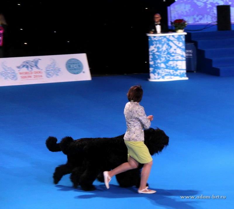 ADAM RACY STYLE APOLLON AND ALEKSANDRA IS THE WORLD CHAMPIONSHIP BEST COUPLE OF BREED!!!