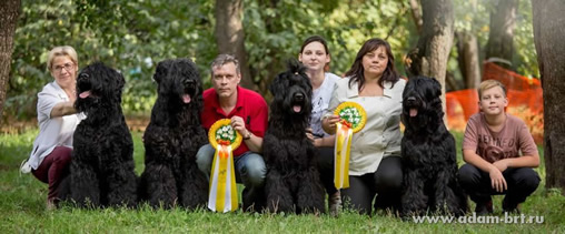 Adam Racy Style INTERNATIONAL BRT KENNEL - THE MAJOR PARTICIPANTS AND WINNERS OF XXVII NATIONAL BRT BREED CLUB CHAMPIONSHIP!