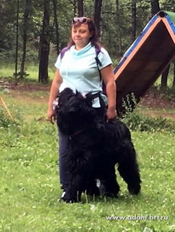 Adam Racy Style CZARSKAYA OSOBA (MICHEL) - RUSSIAN FULL GENERAL DOGS TRAINING COURSE, OKD RKF NORM,  FIRST DEGREE!