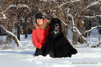 The Russian Black Terrier - BORESLAVA LUBOV ADAMA! International BRT Professinal Kennel - ADAM RACY STYLE