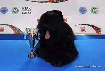 Adam Racy Style RYTSAR SVETA (TSAR) - PRIZE WINNER OF INTERNATIONAL ALL BREED EURO DOGS SHOW CHAMPIONSHIP OF EUROPE!