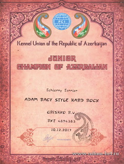 Adam Racy Style HARD ROCK - JUNIOR CHAMPION OF RUSSIA AND AZERBAIJAN!
