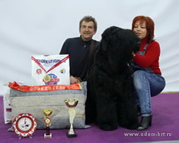 Adam Racy Style HARVARD - THE BEST JUNIOR OF THE BIG MOSCOW MONOBREED FESTIVAL!