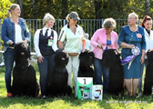 Adam Racy Style KENNEL - THE BEST NURSERY OF BLACK RUSSIAN TERRIER BREED NATIONAL CLUB SPECIALTY DOG SHOW!