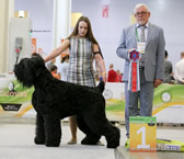 Adam Racy Style RYTSAR SVETA - THE BEST DOG AND WINNER OF THE FIRST WORLD DOG SHOW FOR RUSSIAN NATIONAL BREEDS!