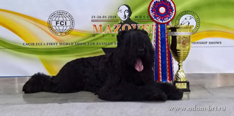 Adam Racy Style RYTSAR SVETA (TSAR) - THE BEST DOG AND WINNER OF THE FIRST WORLD DOG SHOW FOR RUSSIAN NATIONAL BREEDS, BEST IN SHOW!