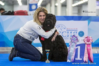 Adam Racy Style CHERNAYA ZHEMCHUZHINA (BLACK PEARL) - THE BEST OF BREED BABY OF THE INTERNATIONAL EXHIBITION - THE RUSSIA! THE BEST BABY BITCH OF RUSSIAN BLACK TERRIER BREED OF THE INTERNATIONAL EXHIBITION - THE RKF PRESIDENT'S CUP!