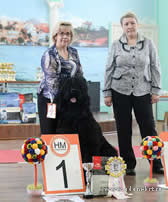 Adam Racy Style RYTSAR SVETA - BEST OF BREED OF SPECIALITY, ALL RUSSIAN AND REGIONAL DOG SHOWS!