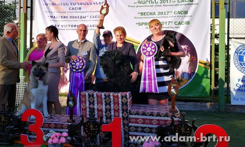 VICTORIES OF KENNEL ADAM RACY STYLE AT THE CAUCASUS!!!
