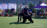 BRILLIANT VICTORIES OF KENNEL ADAM RACY STYLE AT THE CAUCASUS!!!