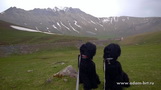 DOGS FROM ADAM RACY STYLE AT THE CAUCASUS!!!